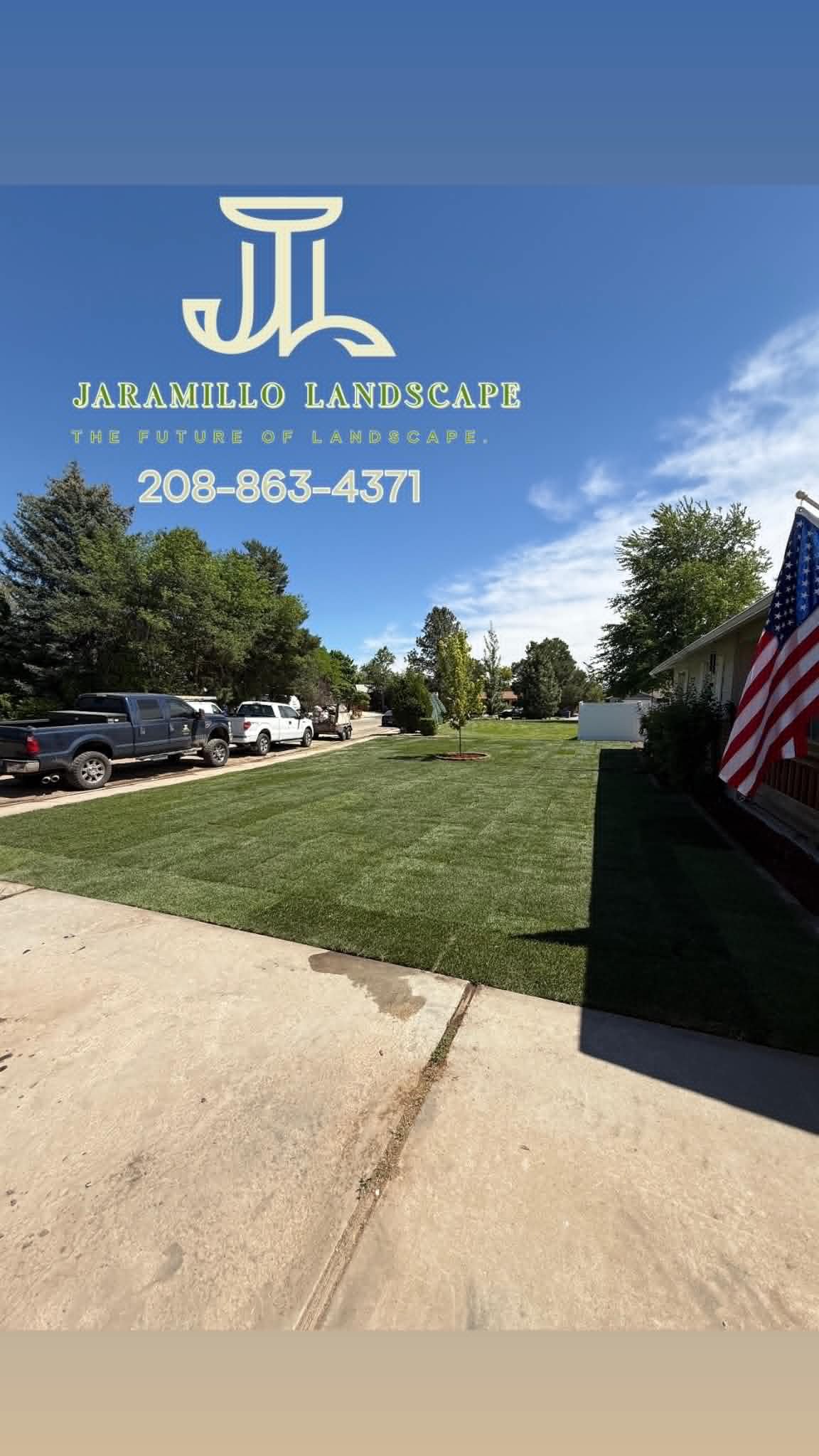 Fresh sod installation with newly planted tree by Jaramillo Landscape